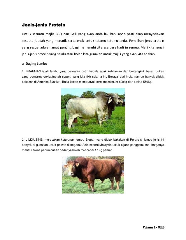 Resepi bbq dan grill