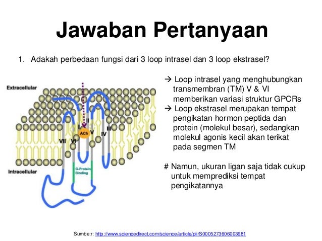 BA Reseptor Asetilkolin Muskarinik by Ariiq Azmi RS 