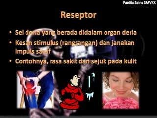Reseptor dan efektor