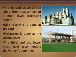 •The natural slope of the
site utilized to advantage of
a multi level processing
system
•Milk receiving is done at
the roof
•Processing is done at the
second level
•The third and the lower
most level accommodate
the worker’s amenities
 