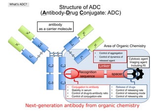 Advanced Insights into Antibody-Drug Conjugates (ADCs) and Homogeneous ...