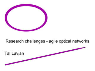 Research challenges - agile optical networks 
Tal Lavian 
 