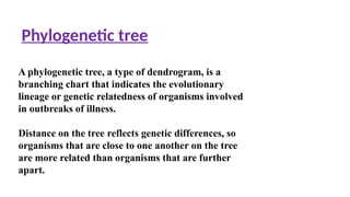 Phylogenetic tree
A phylogenetic tree, a type of dendrogram, is a
branching chart that indicates the evolutionary
lineage or genetic relatedness of organisms involved
in outbreaks of illness.
Distance on the tree reflects genetic differences, so
organisms that are close to one another on the tree
are more related than organisms that are further
apart.
 