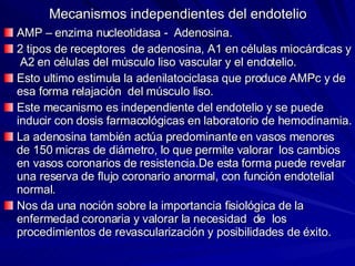 Mecanismos independientes del endotelio AMP – enzima nucleotidasa -  Adenosina. 2 tipos de receptores  de adenosina, A1 en células miocárdicas y  A2 en células del músculo liso vascular y el endotelio. Esto ultimo estimula la adenilatociclasa que produce AMPc y de esa forma relajación  del músculo liso. Este mecanismo es independiente del endotelio y se puede inducir con dosis farmacológicas en laboratorio de hemodinamia. La adenosina también actúa predominante en vasos menores  de 150 micras de diámetro, lo que permite valorar  los cambios en vasos coronarios de resistencia.De esta forma puede revelar una reserva de flujo coronario anormal, con función endotelial normal. Nos da una noción sobre la importancia fisiológica de la enfermedad coronaria y valorar la necesidad  de  los procedimientos de revascularización y posibilidades de éxito. 