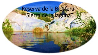 Reserva de la Biosfera
“Sierra de la laguna”
 