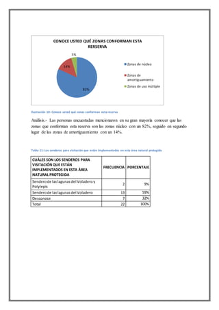 Ilustración 10: Conoce usted qué zonas conforman esta reserva
Análisis.- Las personas encuestadas mencionaron en su gran mayoría conocer que las
zonas que conforman esta reserva son las zonas núcleo con un 82%, seguido en segundo
lugar de las zonas de amortiguamiento con un 14%.
Tabla 11: Los senderos para visitación que están implementados en esta área natural protegida
CUÁLES SON LOS SENDEROS PARA
VISITACIÓNQUE ESTÁN
IMPLEMENTADOS EN ESTA ÁREA
NATURAL PROTEGIDA
FRECUENCIA PORCENTAJE
Senderode laslagunasdel Voladeroy
Polylepis
2 9%
Senderode laslagunasdel Voladero 13 59%
Desconoce 7 32%
Total 22 100%
82%
14%
5%
CONOCE USTED QUÉ ZONAS CONFORMAN ESTA
RERSERVA
Zonas de núcleo
Zonas de
amortiguamiento
Zonas de uso múltiple
 