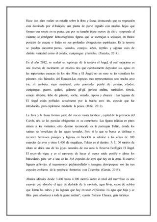 Hace dos años realizo un estudio sobre la flora y fauna, destacando que su vegetación
está dominada por el frailejón, una planta de porte erguido con muchas hojas que
forman una roseta en su punta, que por su tamaño (siete metros de alto), sorprende al
visitante al configurar fantasmagóricas figuras que se asemejan a soldados en franca
posición de ataque o frailes en sus profundas divagaciones espirituales. En la reserva
se pueden encontrar pumas, venados, conejos, lobos, reptiles y algunas aves de
distinta variedad como el cóndor, curiquingue y tórtolas, (Paredes, 2014).
En el año 2012, se realizó un reportaje de la reserva el Ángel, el cual menciona es
una reserva de nacimiento de muchos ríos que eventualmente depositan sus aguas en
las importantes cuencas de los ríos Mira y El Ángel; no en vano se los considera los
páramos más húmedos del Ecuador.Las especies más representativas son: trucha arco
iris, el jambato, sapo marsupial, pato punteado, perdiz de páramo, cóndor,
curiquingue, guarro, quilico, gallareta gli-gli, gaviota andina, zumbador, tórtola,
conejo silvestre, lobo de páramo, soche, venado, raposa y chucuri. : Las lagunas de
El Ángel están pobladas actualmente por la trucha arco iris, especie que fue
introducida para explorarse mediante la pesca, (Mitis, 2012).
La flora y la fauna forman parte del nuevo motor turístico , capital de la provincia del
Carchi, una de las paradas obligatorias es su cementerio. Las figuras talladas en pinos
atraen a los visitantes; otro destino reconocido es la parroquia Tufiño, donde los
turistas se benefician de las aguas termales. Pero si lo que se busca es disfrutar y
recorrer hermosos paisajes y lagunas en bicicleta o admirar a las cerca de 300
especies de aves y otras 1.400 de orquídeas, Tulcán es el destino. A 3.100 metros de
altura se ubica una de las joyas naturales de esa zona: la Reserva Ecológica El Ángel.
El recorrido sigue y es el momento de hacer el menor ruido posible y alistar los
binoculares para ver a una de las 348 especies de aves que hay en la zona. El cuervo
higuero golirrojo, el trepatroncos pechiestrellado y tanagara dorsipurpura son las tres
especies emblema de la provincia fronteriza con Colombia (García, 2015).
Abarca altitudes desde 3.400 hasta 4.300 metros sobre el nivel del mar.“Esto es una
esponja que absorbe el agua de deshielo de la montaña, agua lluvia, vapor de neblina
que forma las nubes y las lagunas que hay en todo el páramo. Es agua que baja y se
filtra para abastecer a toda la gente andina”, cuenta Patricio Chauca, guía turístico.
 