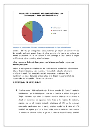 Ilustración 17: Problemas que afectan a la conservación de los animales en el área natural protegida
Análisis.- El 14% que corresponde a otros problemas que afectan a la conservación de
los animales del área natural, dentro de ellos tenemos a la cacería, sin embargo es
inferior al problema de la tala forestal la cual constituye el 50%, siendo el mayor
problema que afecta a esta área natural protegida.
¿Qué sugerencia daría usted para conservar la fauna vertebrada en esta área
natural protegida?
Dentro de las sugerencias mencionadas por los encuestados, se mencionó, el desarrollar
talleres de concientización, a los visitantes, y comunidades aledañas a la reserva
ecológica el Ángel. Otra sugerencia también mayormente mencionada fue el
monitorear con mayor frecuencia el área natural a fin de para conocer el estado de
conservación de las especies existentes en esta reserva
8. DISCUSIÓN DE RESULTADOS
 En el proyecto “ Guía del patrimonio de áreas naturales del Ecuador” ,realizado
anteriormente por la investigador Coello en el 2006 en la reserva ecológica el
Ángel , manifiesta que entre los mayores atractivos turísticos de la reserva el
Ángel se encuentran los siguientes: flora, fauna y las lagunas del voladero,
mientras que en el proyecto realizado actualmente el 82% de las personas
encuestadas manifestaron que el mayor atractivo turístico es la flora, el 14%
manifestó las lagunas, y el 5% la fauna, en los estudios realizados coinciden con
la información obtenida, debido a que en el 2006 el atractivo turístico principal
50%
36%
14%
PROBLEMAS QUE AFECTAN A LA CONSERVACIÓN DE LOS
ANIMALES EN EL ÁREA NATURAL PROTEGIDA
Tala forestal
Destrucción del hábitat
Otras
 