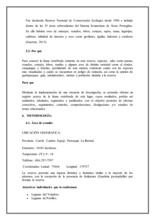 Fue declarada Reserva Nacional de Conservación Ecológica desde 1986 e incluida
dentro de las 35 áreas sobresalientes del Sistema Ecuatoriano de Áreas Protegidas.
En ella habitan osos de anteojos, venados, lobos, conejos, sapos, ranas, lagartijas,
culebras, infinidad de insectos y aves como gavilanes, águilas, halcones y cóndores
(Guerrón, 2013).
5.2. Por qué
Para conocer la fauna vertebrada existente en esta reserva, especies tales como pumas,
venados, conejos, lobos, reptiles y algunas aves de distinta variedad como el cóndor,
curiquingue y tórtolas, permitiendo de esta manera evidenciar cuales son las especies
más visualizadas y cuales se encuentran en peligro de extinción, así como la opinión de
gurdaparques, guía, administrador, turistas y población aledaña a la reserva.
Para que
Mediante la implementación de una encuesta de investigación, se pretende obtener un
registro acerca de la fauna vertebrada de este lugar, cuyos resultados, podrán ser
analizados, tabulados, registrados y justificados; con el objetivo posterior de efectuar
correctivos, seguimientos, controles, comprobaciones, divulgaciones y/o estudios de
temas relacionados.
6. METODOLOGÍA:
6.1. Área de estudio:
UBICACIÓN GEOGRAFICA:
Provincia: Carchi Cantón: Espejo Parroquia: La libertad
Extensión: 16541 hectáreas.
Temperatura (ºC): 0 - 18.
Teléfono: (06) 297-7597
Coordenadas: Latitud: 75664 Longitud: 179727
La reserva presenta una riqueza florística y faunística similar a la mayoría de los
páramos, con la excepción de la presencia de frailejones (Espeletia pycnophyllia) que
domina la reserva.
Atractivos individuales que lo conforman:
 Lagunas del Voladero.
 Lagunas de Potrillos.
 