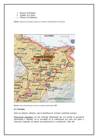  Bosque de Polylepis.
 Lagunas de Crespo.
 Páramo de Frailejones.
Fuente: Fichas de Inventario Atractivos Turísticos del Ministerio de Turismo.
Fuente: Guía del patrimonio de áreas naturales del Ecuador 2009.
6.2. Métodos
Entre los métodos utilizados para la identificación de fauna vertebrada tenemos:
Observación sistemática- Es una estrategia fundamental que nos permite la percepción
intencionada e ilustrada, sin la necesidad de la colaboración por parte del sujeto a
observarse, logrando así obtener una interpretación y conclusiones sobre ello.
 