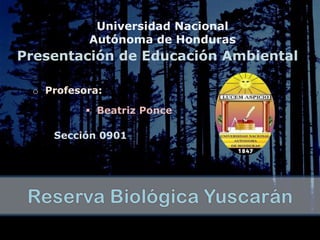 Universidad Nacional
          Autónoma de Honduras
Presentación de Educación Ambiental

 o Profesora:

           Beatriz Ponce

    Sección 0901
 