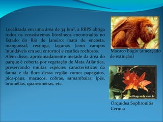 Localizada em uma área de 34 km², a RBPS abriga todos os ecossistemas litorâneos encontrados no Estado do Rio de Janeiro: mata de encosta, manguezal, restinga, lagunas (com campos inundáveis em seu entorno) e costões rochosos.  Além disso, aproximadamente metade da área do parque é coberta por vegetação de Mata Atlântica, preservando muitas espécies características da fauna e da flora dessa região como: papagaios, pica-paus, macacos, cobras, samambaias, ipês, bromélias, quaresmeiras, etc.   Macaco Bugio (ameaçado de extinção)‏ Orquídea Sophronitis Cernua  