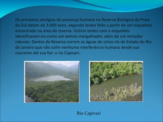 Os primeiros vestígios da presença humana na Reserva Biológica da Praia do Sul datam de 3.000 anos, segundo testes feito a partir de um esqueleto encontrado na área da reserva. Outros testes com o esqueleto identificaram-no como um exímio mergulhador, além de um remador robusto. Dentro da Reserva correm as águas do único rio do Estado do Rio de Janeiro que não sofre nenhuma interferência humana desde sua nascente até sua foz: o rio Capivari. Rio Capivari 