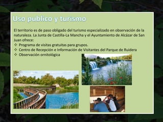 El territorio es de paso obligado del turismo especializado en observación de la
naturaleza. La Junta de Castilla-La Mancha y el Ayuntamiento de Alcázar de San
Juan ofrece:
 Programa de visitas gratuitas para grupos.
 Centro de Recepción e Información de Visitantes del Parque de Ruidera
 Observación ornitológica
 