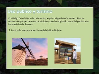 El hidalgo Don Quijote de La Mancha, a quien Miguel de Cervantes ubica en
numerosos parajes de estos municipios y que ha originado parte del patrimonio
inmaterial de la Reserva.
 Centro de Interpretacion Humedal de Don Quijote
 