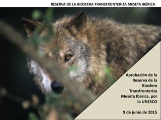 RESERVA DE LA BIOSFERA TRANSFRONTERIZA MESETA IBÉRICA
Descrição
Aprobación de la
Reserva de la
Biosfera
Transfronteriza
Meseta Ibérica, por
la UNESCO
9 de junio de 2015
 