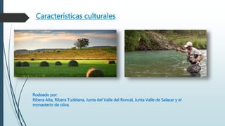 Características culturales
Rodeado por:
Ribera Alta, Ribera Tudelana, Junta del Valle del Roncal, Junta Valle de Salazar y el
monasterio de oliva.
 