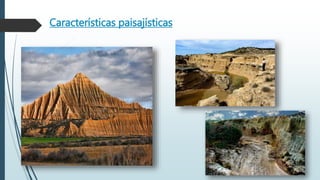 Características paisajísticas
 