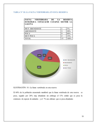 15
TABLA N° 10: LA FAUNA VERTEBRADA EN ESTA RESERVA
FAUNA VERTEBRADA DE LA RESERVA
ECOLÓGICA COTACACHI CAYAPAS SECTOR LA
LAGUNA
MUY ABUNDANTE 1 7%
ABUNDANTE 3 20%
POCA 9 60%
MUY POCA 2 13%
TOTAL 15 100%
ILUSTRACIÓN 10 : La fauna vertebrada en esta reserva
El 60% de la población encuestada manifestó que la fauna vertebrada de esta reserva es
poca, seguido por 20% muy abundante sin embargo el 13% señalo que es poca la
existencia de especie de animales y el 7% nos afirman que es poca abundante.
7%
20%
60%
13%
MUY ABUNDANTE
ABUNDANTE
POCA
MUY POCA
 
