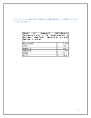 16
TABLA N° 11: CLASES DE ANIMALES VERTEBRADOS OBSERVADOS CON
MAYOR FRECUENCIA
CLASE DE ANIMALES VERTEBRADOS
OBSERVADOS CON MAYOR FRECUENCIA EN LA
RESERVA ECOLÓGICA COTACACHI CAYAPAS
SECTOR LA LAGUNA
MAMIFEROS 4 26,67%
AVES 6 40%
REPTILES 3 20%
AMFIBIOS 2 13.33%
PECES 0 0%
TOTAL 15 100%
 
