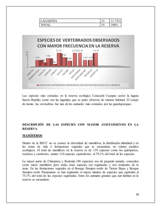 18
LAGARTIJA 15 11.72%
TOTAL 15 100%
Las especies más avistadas en la reserva ecológica Cotacachi Cayapas sector la laguna
fueron Reptiles como son las lagartijas que se pudo observar de manera habitual, El conejo
de monte, las cervicabras fue uno de los animales más avistados por las guardaparques.
DESCRIPCIÓN DE LAS ESPECIES CON MAYOR AVISTAMIENTO EN LA
RESERVA
MAMÍFEROS
Dentro de la RECC no se conoce la diversidad de mamíferos, la distribución altitudinal y en
las zonas de vida o formaciones vegetales que se encuentran, no existen estudios
ecológicos. El total de mamíferos en la reserva es de 139 especies como los quirópteros,
roedores y carnívoros suman 110 especies equivalentes al 79,1% del total de las especies.
La mayor parte de Chiroptera y Rodentia (90 especies) son de pequeño tamaño, conocidos
como micro mamíferos pero todas estas especies son registradas y son residentes de la
zona. En las formaciones vegetales en el Bosque Siempre-verde de Tierras Bajas y Bosque
Siempre-verde Piemontano se han registrado el mayor número de especies que equivalen al
75,1% del total de las especies registradas. Entre los animales grandes que aun habitan en la
reserva se encuentran:
0
2
4
6
8
10
12
5.47
3.13
7.03
1.56
11.72
7.81
4.69
11.7211.72
5.47 5.47
11.72
ESPECIES DE VERTEBRADOS OBSERVADOS
CON MAYOR FRECUENCIAEN LA RESERVA
ESPECIES DE VERTEBRADOS OBSERVADOS CON MAYOR FRECUENCIA EN LA RESERVA
 