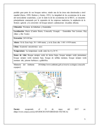 5
perdido gran parte de sus bosques nativos, siendo una de las áreas más deterioradas a nivel
mundial (Sierra, 1999; Dodson y Gentry, 1991). La integridad de los ecosistemas de la zona
del noroccidente ecuatoriano, y por lo tanto la de los ecosistemas de la RECC, se encuentra
principalmente amenazada por la expansión de las empresas madereras, la ampliación de la
frontera agrícola y la conversión de bosque natural a plantaciones de palma africana.
Ubicación: Provincia de Imbabura y Esmeraldas
Localización: Ibarra (Cantón Ibarra, Cotacachi, Urcuquí) – Esmeraldas San Lorenzo, Eloy
Alfaro y Río Verde)
Extensión: 243 638 has
Altura: En la Zona baja: 30–1 600 msnm, y en la Zona alta: 1 601–4 939 msnm.
Clima: Ecuatorial mesotérmico seco
Temperatura: La temperatura oscila entre los 4 y 24 °C.
Zonas de vida: Bosque siempre verde de tierras bajas, bosque siempre verde piemontano,
bosque siempre verde montano bajo, bosque de neblina montano, bosque siempre verde
montano alto, páramo herbáceo y gelidofitia.
Ministerio del Ambiente 2016(http://www.ambiente.gob.ec/reserva-ecologica-cotacachi-
cayapas/)
Fuente: recuperado el 31 de mayo del 2017 en
(https://www.emaze.com/@AFFZOICR/UNIVERSIDAD-TECNICA)
 