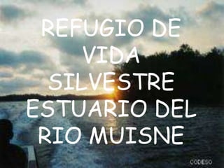 REFUGIO DE
VIDA
SILVESTRE
ESTUARIO DEL
RIO MUISNE
 