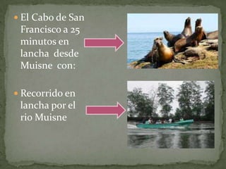  El Cabo de San
Francisco a 25
minutos en
lancha desde
Muisne con:
 Recorrido en
lancha por el
rio Muisne
 