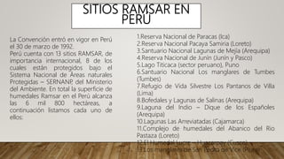SITIOS RAMSAR EN
PERÚ
La Convención entró en vigor en Perú
el 30 de marzo de 1992.
Perú cuenta con 13 sitios RAMSAR, de
importancia internacional, 8 de los
cuales están protegidos bajo el
Sistema Nacional de Áreas naturales
Protegidas – SERNANP
, del Ministerio
del Ambiente. En total la superficie de
humedales Ramsar en el Perú alcanza
las 6 mil 800 hectáreas, a
continuación listamos cada uno de
ellos:
1.Reserva Nacional de Paracas (Ica)
2.Reserva Nacional Pacaya Samiria (Loreto)
3.Santuario Nacional Lagunas de Mejía (Arequipa)
4.Reserva Nacional de Junín (Junín y Pasco)
5.Lago Titicaca (sector peruano), Puno
6.Santuario Nacional Los manglares de Tumbes
(Tumbes)
7.Refugio de Vida Silvestre Los Pantanos de Villa
(Lima)
8.Bofedales y Lagunas de Salinas (Arequipa)
9.Laguna del Indio – Dique de los Españoles
(Arequipa)
10.Lagunas Las Arreviatadas (Cajamarca)
11.Complejo de humedales del Abanico del Rio
Pastaza (Loreto)
12.El Humedal Lucre – Huacarpay (Cusco)
13.Los manglares de San Pedro de Vice (Piura)
 