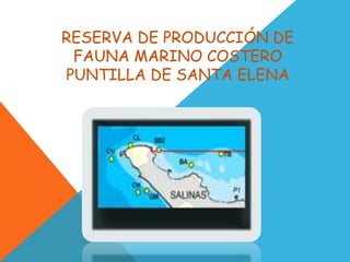 RESERVA DE PRODUCCIÓN DE
 FAUNA MARINO COSTERO
PUNTILLA DE SANTA ELENA
 