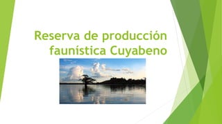 Reserva de producción
faunística Cuyabeno
 