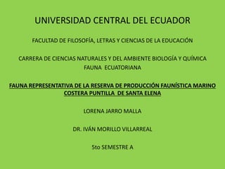 UNIVERSIDAD CENTRAL DEL ECUADOR
FACULTAD DE FILOSOFÍA, LETRAS Y CIENCIAS DE LA EDUCACIÓN
CARRERA DE CIENCIAS NATURALES Y DEL AMBIENTE BIOLOGÍA Y QUÍMICA
FAUNA ECUATORIANA
FAUNA REPRESENTATIVA DE LA RESERVA DE PRODUCCIÓN FAUNÍSTICA MARINO
COSTERA PUNTILLA DE SANTA ELENA
LORENA JARRO MALLA
DR. IVÁN MORILLO VILLARREAL
5to SEMESTRE A
 