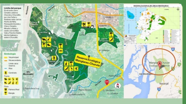 Resultado de imagen para RESERVA ECOLÓGICA MANGLARES CHURUTE ubicacion