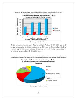 21
Ilustración 15.- Resultado de la encuesta sobre qué especie es más representativa y el ¿por qué?
Realizado por: Miranda R. Patricia J
De las personas encuestadas en la Reserva Ecológica Antisana el 90% indica que los la
especie representativa el cóndor, mientras que el 10% que es el oso andino. Siendo el
cóndor la especie más representativa debido a que es un símbolo patrio, según se indica en
las encuestas representadas en la ilustración superior.
Ilustración 16.- Resultado de la encuesta sobre la problemática que afecta a la conservación de animales en la REA
Realizado por: Miranda R. Patricia J
0
2
4
6
8
10
12
Amenazado Peligro
Extinción
Cultura
ancestral
Símbolo
patrio
6
9 9
12
1
2
1
N°derespuestasdelaspersonas
encuestadas
Por qué es la especie más representativa
13.- Qué especie cree que es la más representativa en
esta área natural protegida? ¿Por qué?
Cóndor
Oso andino
57%
15%
14%
7%
7%
14.- Según usted cuales son los problemas que afectan a
la conservación de los animales en esta área natural
protegida
Cacería
Quema
Destrucción del hábitad
Introducción de especies
exóticas
Tráfico de especies
 
