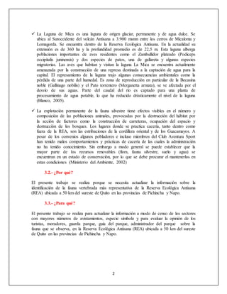 2
 La Laguna de Mica es una laguna de origen glaciar, permanente y de agua dulce. Se
ubica al Suroccidente del volcán Antisana a 3.900 msnm entre los cerros de Micaloma y
Lomagorda. Se encuentra dentro de la Reserva Ecológica Antisana. En la actualidad su
extensión es de 360 ha y la profundidad promedio es de 22,5 m. Esta laguna alberga
poblaciones importantes de aves residentes como el Zambullidor plateado (Podiceps
occipitalis juninensis) y dos especies de patos, una de gallareta y algunas especies
migratorias. Las aves que habitan y visitan la laguna La Mica se encuentra actualmente
amenazada por la construcción de una represa destinada a la captación de agua para la
capital. El represamiento de la laguna trajo algunas consecuencias ambientales como la
pérdida de una parte del humedal. Es zona de reproducción en particular de la Becasina
noble (Gallinago nobilis) y el Pato torrentero (Merganetta armata), se ve afectada por el
desvío de sus aguas. Parte del caudal del río es captado para una planta de
procesamiento de agua potable, lo que ha reducido drásticamente el nivel de la laguna
(Blanco, 2005).
 La explotación permanente de la fauna silvestre tiene efectos visibles en el número y
composición de las poblaciones animales, provocadas por la destrucción del hábitat por
la acción de factores como la construcción de carreteras, ocupación del espacio y
destrucción de los bosques. Los lugares donde se practica cacería, tanto dentro como
fuera de la REA, son las estribaciones de la cordillera oriental y de los Guacamayos. A
pesar de los convenios algunos pobladores e incluso miembros del Club Aventura Sport
han tenido malos comportamientos y prácticas de cacería de las cuales la administración
no ha tenido conocimiento. Sin embargo a modo general se puede establecer que la
mayor parte de los recursos renovables (flora, fauna silvestre, suelo y agua) se
encuentran en un estado de conservación, por lo que se debe procurar el mantenerlos en
estas condiciones (Ministerio del Ambiente, 2002)
3.2.- ¿Por qué?
El presente trabajo se realiza porque se necesita actualizar la información sobre la
identificación de la fauna vertebrada más representativa de la Reserva Ecológica Antisana
(REA) ubicada a 50 km del sureste de Quito en las provincias de Pichincha y Napo.
3.3.- ¿Para qué?
El presente trabajo se realiza para actualizar la información a modo de censo de los sectores
con mayores números de avistamientos, especie símbolo y para evaluar la opinión de los
turistas, moradores, guarda parque, guía del parque, administrador del parque sobre la
fauna que se observa, en la Reserva Ecológica Antisana (REA) ubicada a 50 km del sureste
de Quito en las provincias de Pichincha y Napo.
 