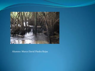 Emergencia Ambiental El 18 de Agosto una fuga de petróleo del oleoducto de Petroecuador