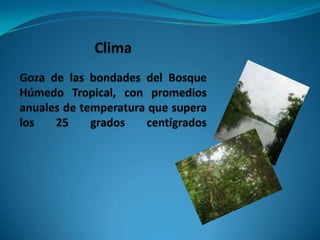 Se encuentra ubicada al nororiente del país, en Sucumbios.