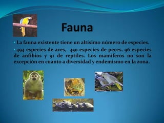  Extensión de 603.781 Has. y abarca el área de la cuenca del río del mismo nombre. ClimaGoza de las bondades del Bosque Húmedo Tropical, con promedios anuales de temperatura que supera los 25 grados centígrados