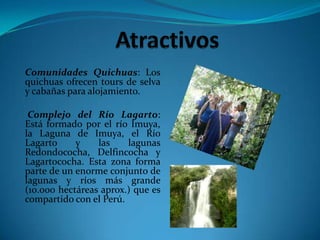 FloraEl ecosistema terrestre más complejo del mundo, presenta una flora extremadamente diversa con asociaciones vegetales muy sensibles a cambios en el ambiente.• Plantas Nativas:  guarango de tierra, guabo, cedro, canelo, amarillo, maní de árbol, bola de cañón y guarumo, entre otras. 
