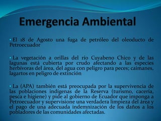 AtractivosComunidades Quichuas: Los quichuas ofrecen tours de selva y cabañas para alojamiento. Complejo del Río Lagarto: Está formado por el río Imuya, la Laguna de Imuya, el Río Lagarto y las lagunas Redondococha, Delfincocha y Lagartococha. Esta zona forma parte de un enorme conjunto de lagunas y ríos más grande (10.000 hectáreas aprox.) que es compartido con el Perú.