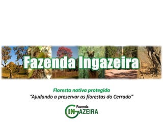 Floresta nativa protegida 
“Ajudando a preservar as florestas do Cerrado”  