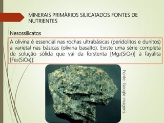 MINERAIS PRIMÁRIOS SILICATADOS FONTES DE
NUTRIENTES
Nesossilicatos
A olivina é essencial nas rochas ultrabásicas (peridolitos e dunitos)
a varietal nas básicas (olivina basalto). Existe uma série completa
de solução sólida que vai da forsterita [Mg2(SiO4)] à fayalita
[Fe2(SiO4)].
Fonte:Googleimagens.
 