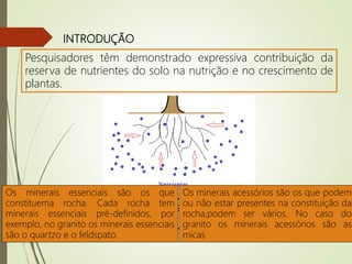 INTRODUÇÃO
Pesquisadores têm demonstrado expressiva contribuição da
reserva de nutrientes do solo na nutrição e no crescimento de
plantas.
Minerais primários essenciais
????
Minerais primários
acessórios????
Os minerais essenciais são os que
constituema rocha. Cada rocha tem
minerais essenciais pré-definidos, por
exemplo, no granito os minerais essenciais
são o quartzo e o feldspato.
Os minerais acessórios são os que podem
ou não estar presentes na constituição da
rocha,podem ser vários. No caso do
granito os minerais acessórios são as
micas
 