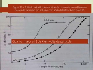 Os fatores que afetam a transformação das micas são
agrupadas em:
Natureza do mineral
Tamanho da partícula
Efeito de condições ambientais
Os fatores ambientais que interferem no intemperismo das
micas são:
Atividade e natureza dos íons na solução dos solo, presença
de agentes complexantes de metal, temperatura, atividade
biológica, umidade e ciclos de umedecimento e secagem.
Essas condições também determinam o intemperismo dos
minerais e a liberação de nutrientes das demais classes de
silicatos: neso, ino e tectossilicatos.
Figura 12 – Potássio extraído de amostras de muscovita com diferentes
classes de tamanho em solução com sódio tetrafenil boro (NaTFB).
Quanto maior a [ ] de K em volta da partícula
 