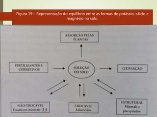 Somente ocorre a liberação de formas não-trocáveis e, ou,
estruturais em concentrações muito baixas do elemento na
solução e após grande parte da forma trocável haver sido
removida
Figura 19 – Representação do equilíbrio entre as formas de potássio, cálcio e
magnésio no solo.
 