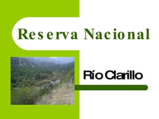 Reserva Nacional Río Clarillo 