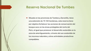 Reserva Nacional De Tumbes

 Situada en las provincias de Tumbes y Zarumilla, tiene
   una extensión de 75 102 hectáreas, esta reserva tiene
   por objetivo fortalecer las acciones de conservación del
   bosque seco en las áreas protegidas del norte del
   Perú, al igual que promover el desarrollo sostenible en la
   zona de amortiguamiento, a través del uso sostenible de
   los recursos naturales y otras actividades productivas
   compatibles.
 