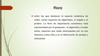 Flora

 entre las que destacan la especie endémica de
  ceibo, varias especies de algarrobos, el angolo y el
  pretino. La flora de importancia económica está
  representada por el guayacán , el algarrobo y el palo
  santo, especies que están amenazadas por su uso
  intensivo como leña y en la fabricación de parqué y
  artesanías.
 