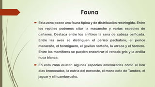 Fauna
 Esta zona posee una fauna típica y de distribución restringida. Entre
  los reptiles podemos citar la macanche y varias especies de
  cañanes. Destaca entre los anfibios la rana de cabeza osificada.
  Entre las aves se distinguen el perico pachaloro, el perico
  macareño, el hormiguero, el gavilán norteño, la urraca y el hornero.
  Entre los mamíferos se pueden encontrar el venado gris y la ardilla
  nuca blanca.

 En esta zona existen algunas especies amenazadas como el loro
  alas bronceadas, la nutria del noroeste, el mono coto de Tumbes, el
  jaguar y el huamburushu.
 