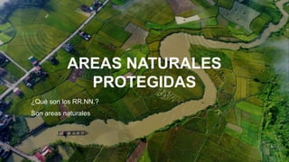 AREAS NATURALES
PROTEGIDAS
¿Qué son los RR.NN.?
Son areas naturales
 